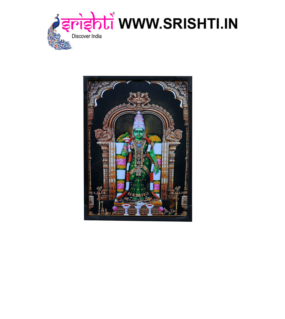 SIPF-Meenakashi Laminated Photo 6 X 8 Inches