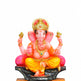 STRG-Ganesha-11 Inches-M02 (IGSTC132)