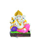 STRG-Ganesha-M11 (IGSTC179)