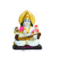 STRG-Saraswathi (IGSTC184)