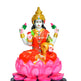 STRG-Lotus Lakshmi (IGSTC199)