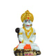 STRG-Lord Hanuman-M01 (IGSTC217)