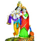 STRG-Peacock Radha Krishna-8 Inches (IGSTC275)
